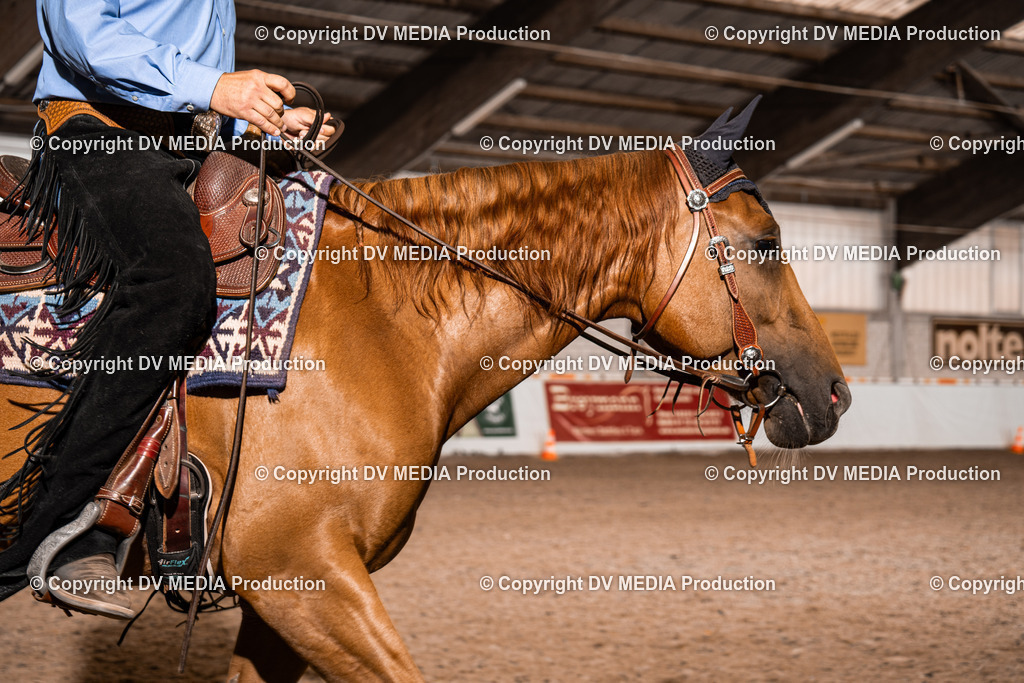 ZH100210 | dv-media-shop - Realisiert mit Pictrs.com