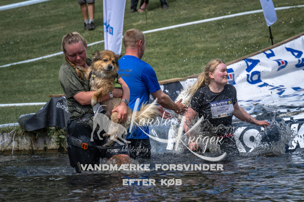 1103_ZZ90579 | kk-dogfotos