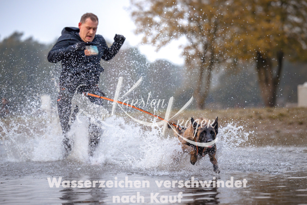 0814_ZZ90924 | kk-dogfotos