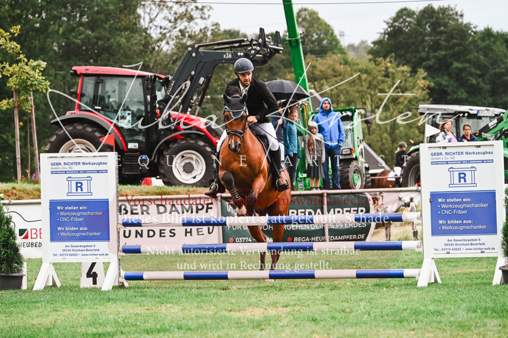 DSC_6336 | Pferde- und Turnierfotografie in Westsachsen. Pferdeportraits, Auftragszeichnungen und intuitive Kunst.