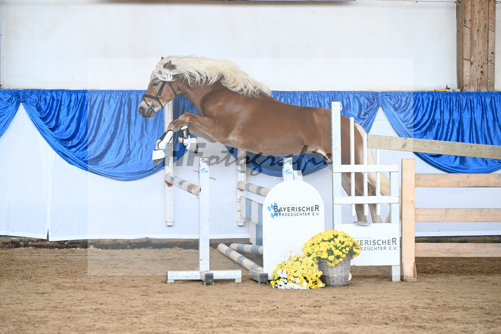 Kat-Nr. 11 nn v. Nordkerl_Nonn_48250236 | hf-fotografie - Realisiert mit Pictrs.com