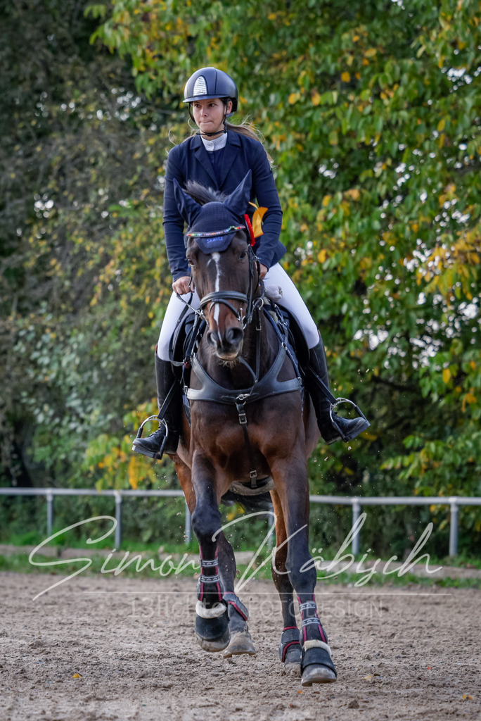 20251012-_3LI6000 | Tierfotografie Pferde, Hunde, Katzen, Haustiere.
Turnierfotografie Reitturniere, Reiten, Springreiten, Dressur in Hanau, dem Main-Kinzig-Kreis und dem Rhein-Main- Gebiet um Frankfurt