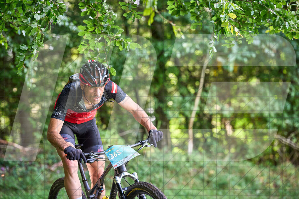 Betriebszentrum Laubenbachmühle, Frankenfels, Österreich - 13. September 2025: Dirndltal Race - Fun und Trophy RaceFotograf: Martin Bihounek / martinbihounek.com | 13. September 2025 Betriebszentrum Laubenbachmühle, Frankenfels, Österreich : Dirndltal Race - Fun und Trophy Race •••••Photo by: Martin Bihounek / martinbihounek.comInsta: @martinbihounekcom