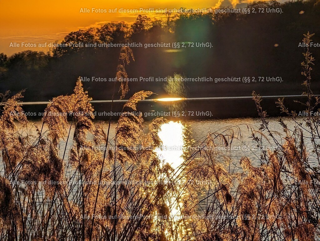 PXL_20240422_172926238-01_2 | krollfotografie - Realisiert mit Pictrs.com