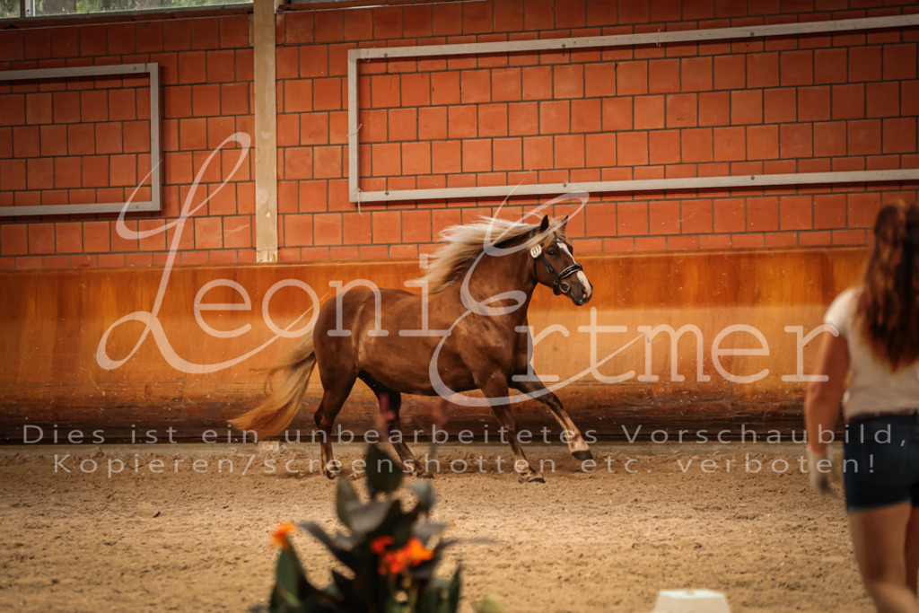 SaFL00426 | Leoni Ertmer Photography - Realisiert mit Pictrs.com