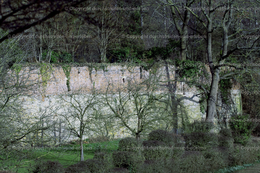 Stadtmauer Westerholtsche Wiese Münster | Stadtmauer Münster aus dem Mittelalter - Realisiert mit Pictrs.com