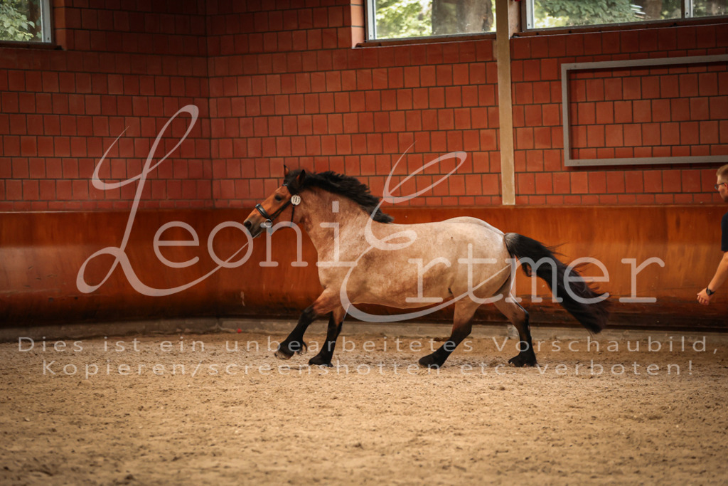 SaFL00362 | Leoni Ertmer Photography - Realisiert mit Pictrs.com