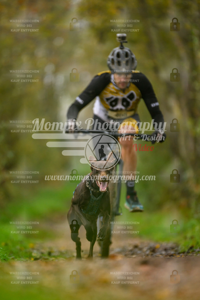 MompixPhotography_20TSB_E6_DS1-12 | PayLife
