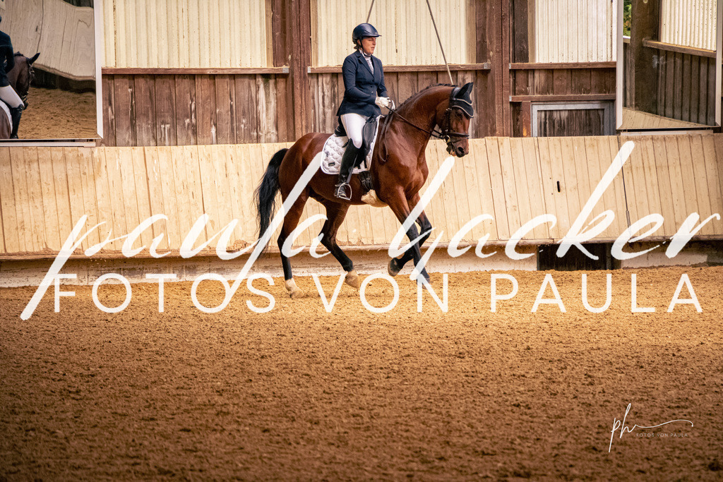 IMG_0314 | Erleben Sie dynamische Sport- und emotionale Tierfotografie in Süddeutschland mit Fotos von Paula. Spezialisiert auf Pferde- und Hundefotografie sowie Sportevents. Kontaktieren Sie mich für einzigartige und ausdrucksstarke Bilder Ihrer besonderen Momente. - Realisiert mit Pictrs.com