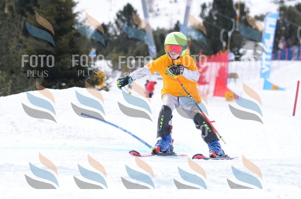 C7572 | holidayphoto