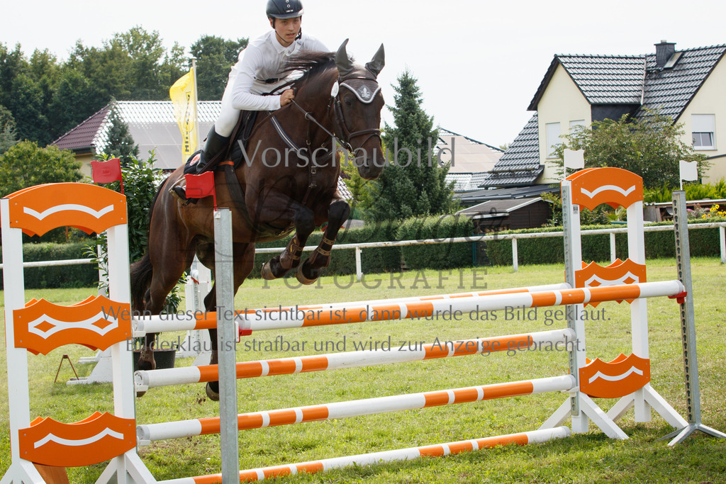 IMG_3295 | P. Berger Fotografie - Realisiert mit Pictrs.com