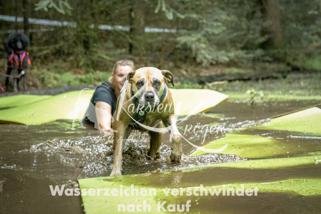 1430_ZZ92628-Bearbeitet | kk-dogfotos