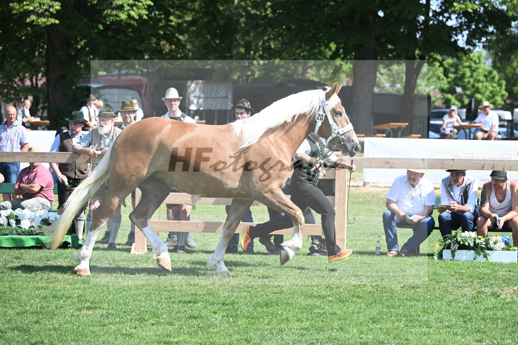 Kat-Nr. 20 Hanna N_Neumayr_20230298 | hf-fotografie - Realisiert mit Pictrs.com