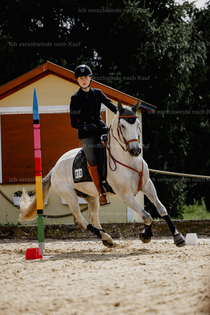 Svea13FHC2025-20490 | working equitationturnier fotograf videograf stoibphotography marixx film working equitation deutschland reitsport turnierfotografie eventfotografie equestrian events