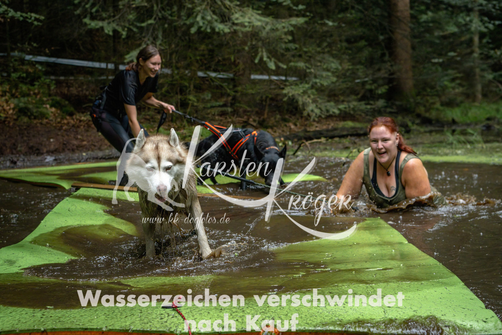 1548_ZZ92066-Bearbeitet | kk-dogfotos