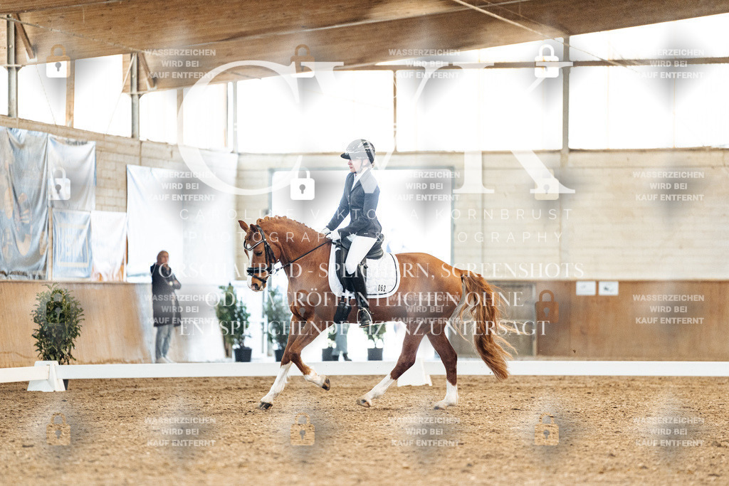 CK908927 | Turnierfotografie Pferdefotografie Trier Rheinland-Pfalz Pferdesport Reitsport Tierfotografie Sportfotografie Pferdevideo Pferdevideografie Equestrianvideography equestrianphotography  - Realized with Pictrs.com