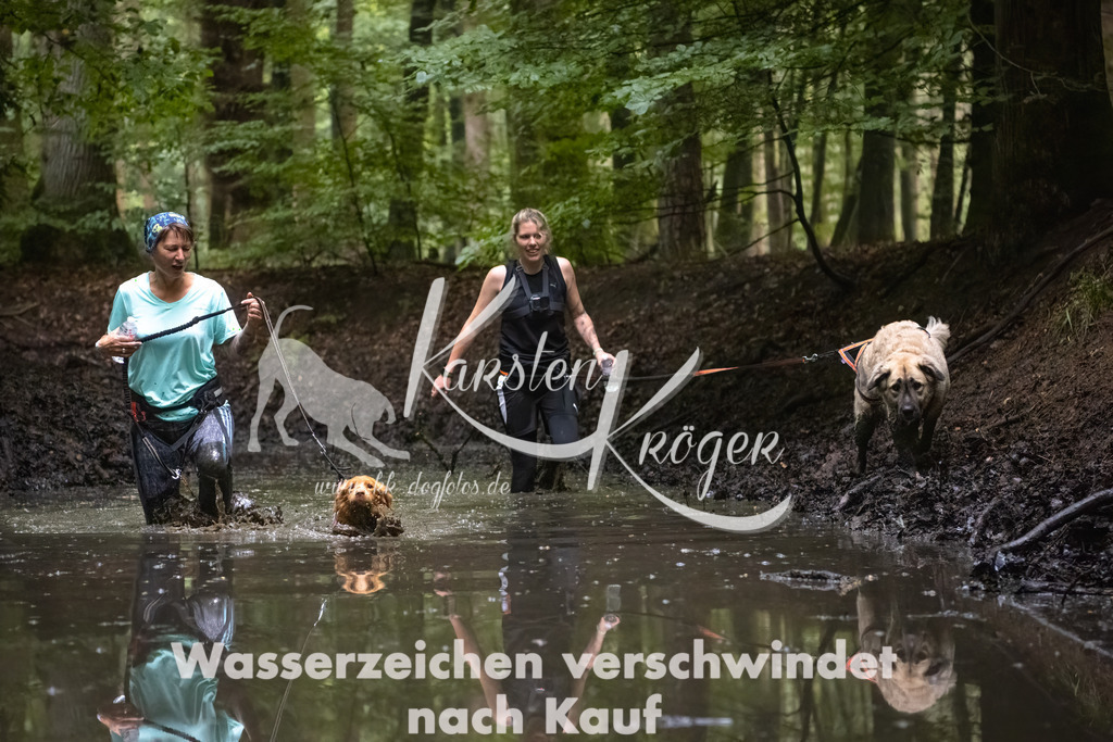 1207_ZZ90676-Bearbeitet | kk-dogfotos