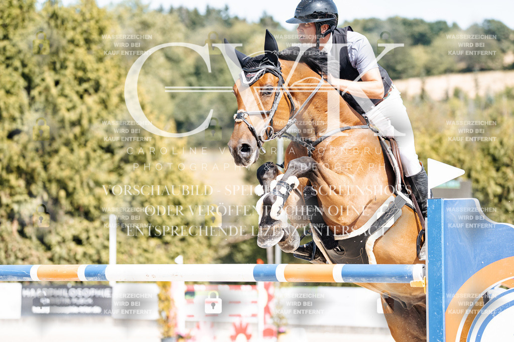 CK905147 | Turnierfotografie Pferdefotografie Trier Rheinland-Pfalz Pferdesport Reitsport Tierfotografie Sportfotografie Pferdevideo Pferdevideografie Equestrianvideography equestrianphotography  - Realisiert mit Pictrs.com