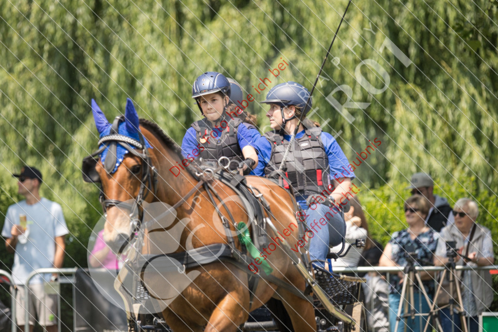 IMG_9309 | Sport-, Event- und Tierfotos in Profiqualität. Einfach auswählen, bestellen und herunterladen. Dein Moment – perfekt festgehalten.