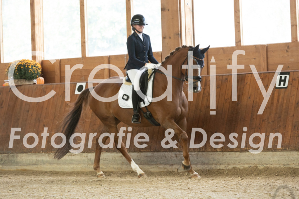 IMG_1127 | Creatify Fotografie