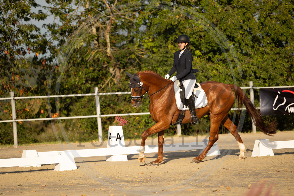 994A0280 | sabrinanicolaifotografie - Realisiert mit Pictrs.com