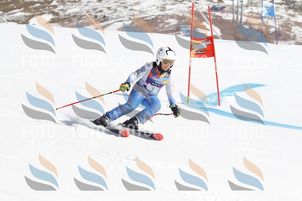 _U3G8496 | holidayphoto