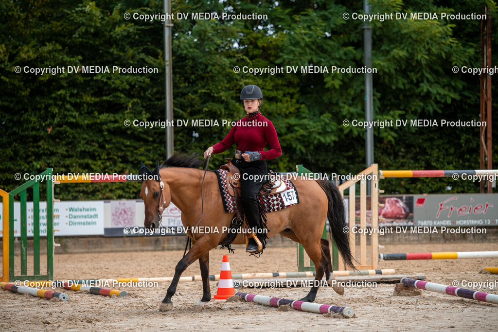 ZS3_9292 | dv-media-shop - Realisiert mit Pictrs.com