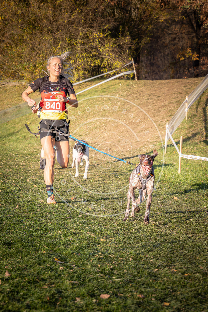 CaniXpix_0L8A0713 | Hundefotografie, Tierfotograf, Pfotenfotografie, Fotoshooting Hund, Hunde Portrait, Hundesport, Hundeportraits, Heideshooting, Hunde, Sportfotograf, Hundefotograf, Turnierhundsport, THS,  - Realisiert mit Pictrs.com