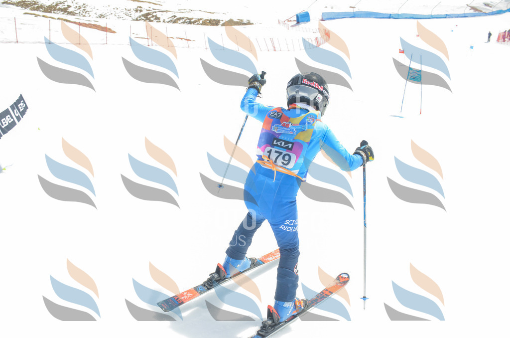 _ELE6655 | holidayphoto