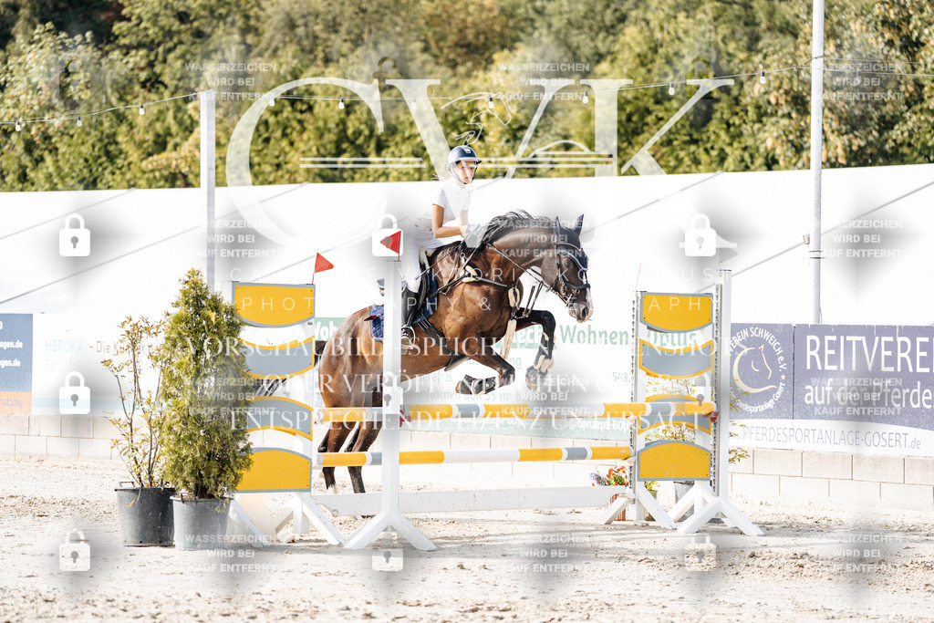 CK905919 | Turnierfotografie Pferdefotografie Trier Rheinland-Pfalz Pferdesport Reitsport Tierfotografie Sportfotografie Pferdevideo Pferdevideografie Equestrianvideography equestrianphotography  - Realisiert mit Pictrs.com