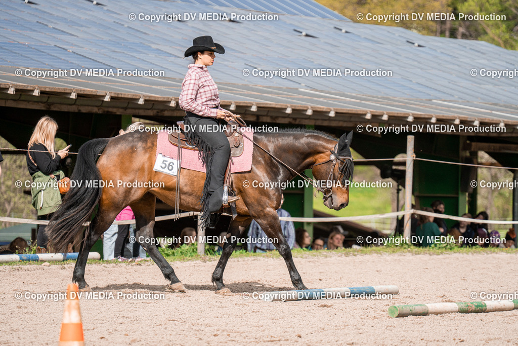 BAL02687 | dv-media-shop - Realisiert mit Pictrs.com