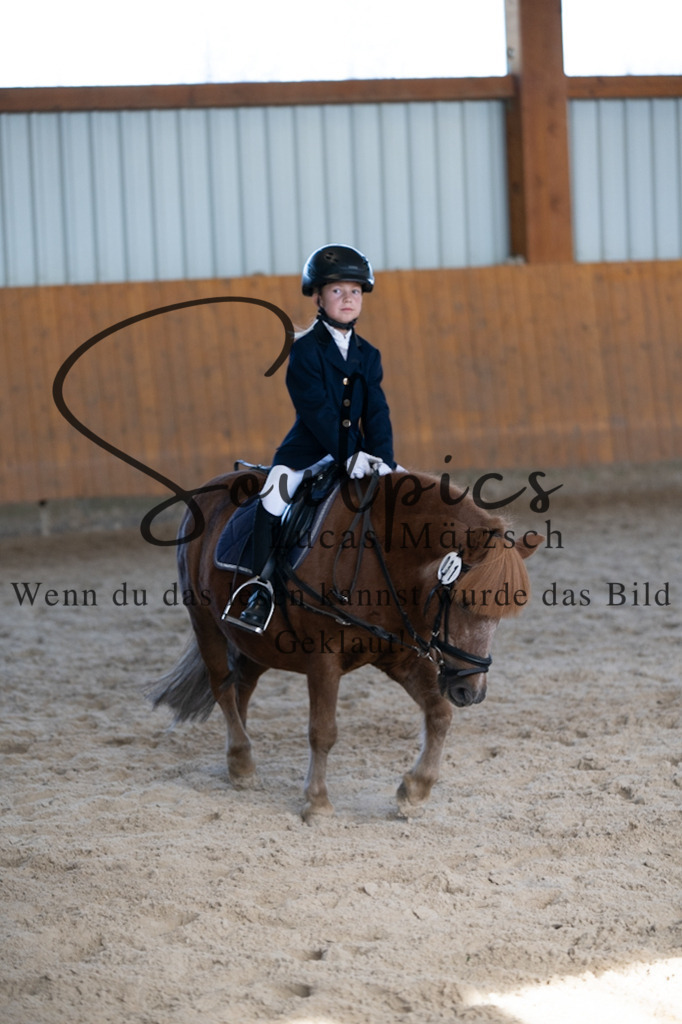 A7V02118 | Turnier/Reitfotograf
