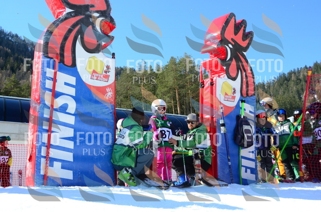 C4995 | holidayphoto