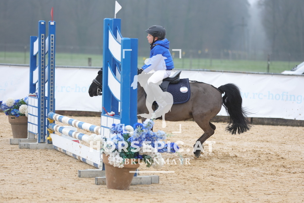 0P6A8295 | Willkommen bei Brunnmayr - Design & Fotografie – Ihrem Spezialisten für Reitturniere und Pferdeveranstaltungen in Oberösterreich, Salzburg und Bayern! Seit über 17 Jahren sind wir leidenschaftlich dabei.