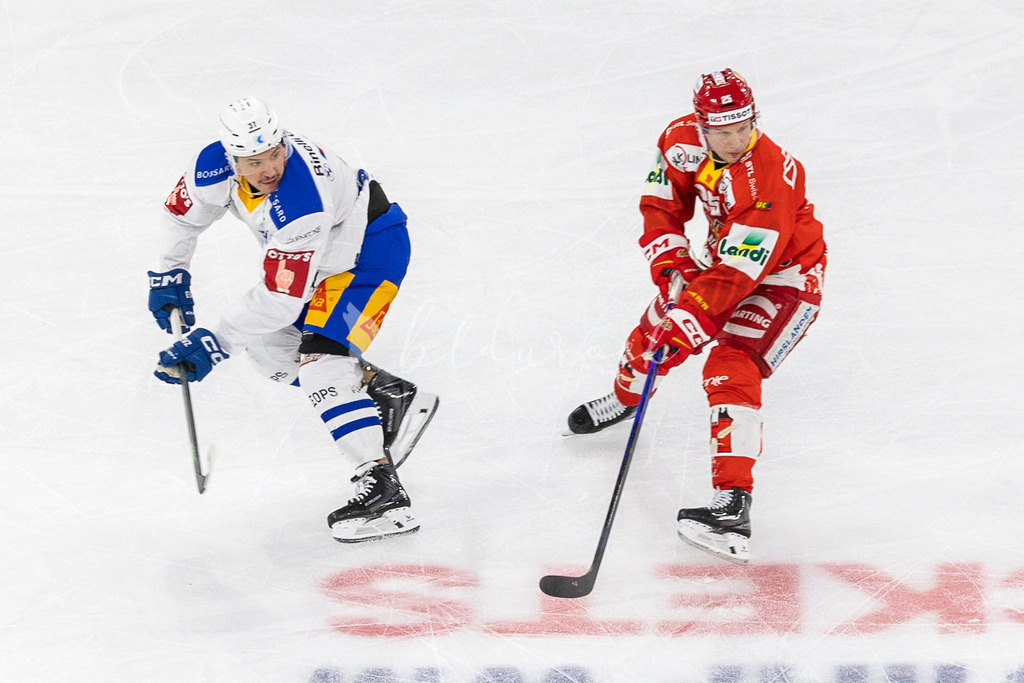 EHCB vs EVZ 20260227_WB-7274-2 | Sportbilder, Sportfotograf, Hochzeits- und Eventfotografin, Flugshows, Portraits und Tiershooting, Aviation, Downhill, Nationalleague, Swissleague, International