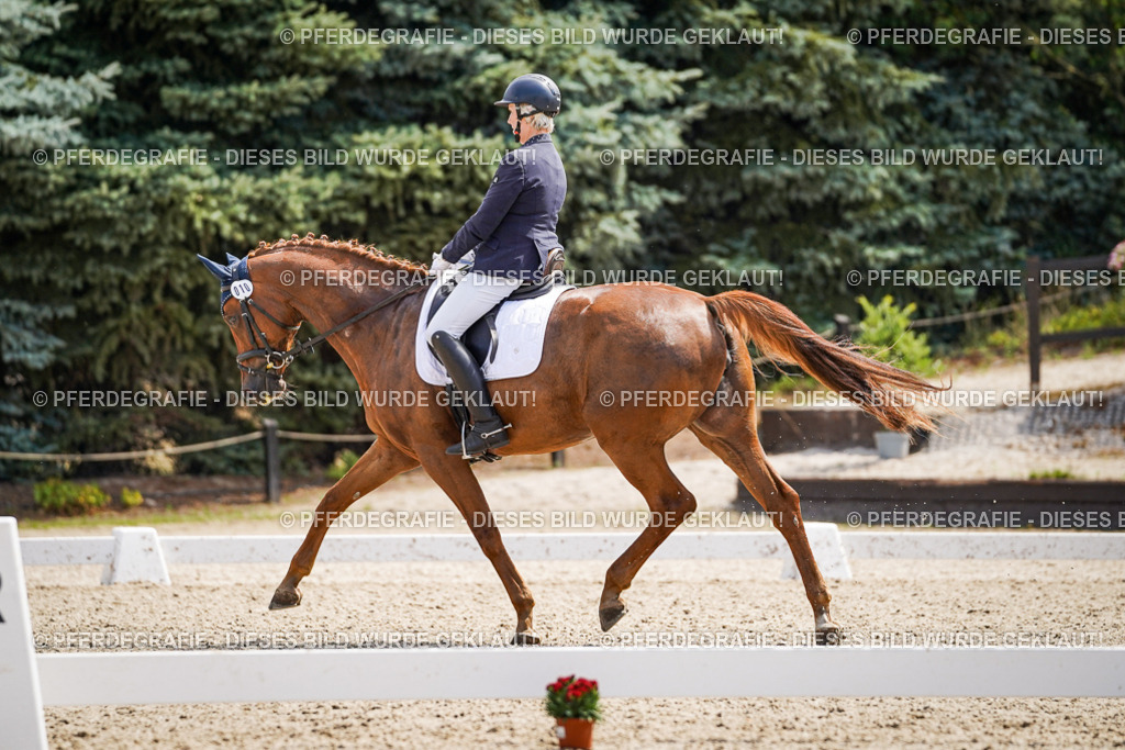 DSC00522 | Pferdegrafie