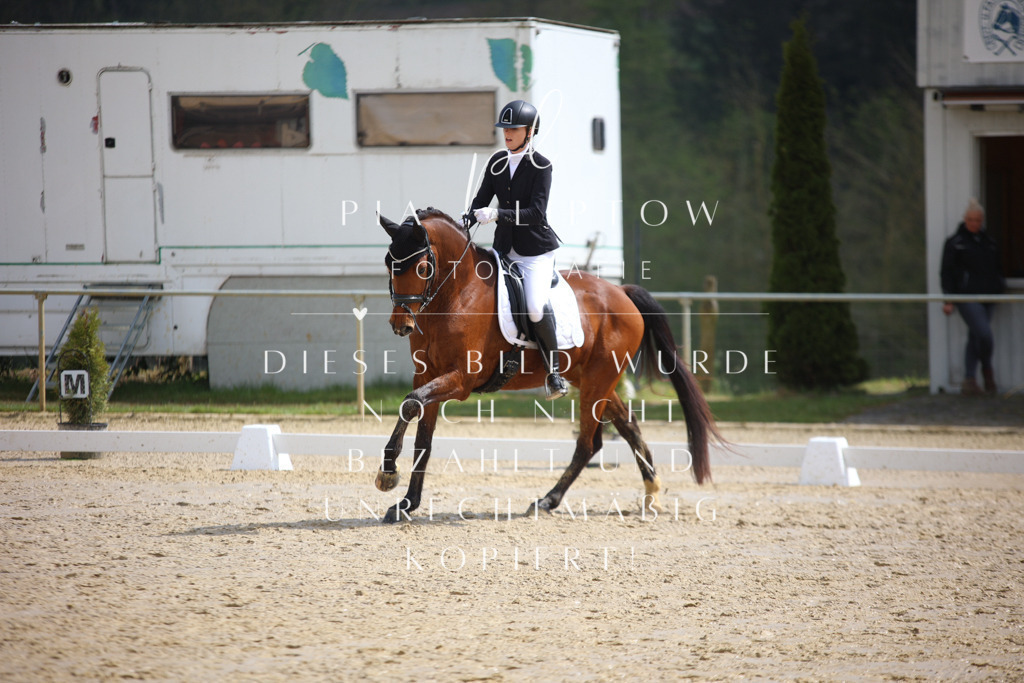 IMGT3665 | pl-fotografie