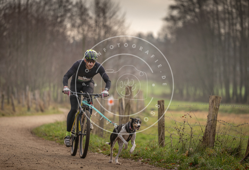 Pfotenfotografie_DV3A1777 | Hundefotografie, Tierfotograf, Pfotenfotografie, Fotoshooting Hund, Hunde Portrait, Hundesport, Hundeportraits, Heideshooting, Hunde, Sportfotograf, Hundefotograf, Turnierhundsport, THS,  - Realisiert mit Pictrs.com