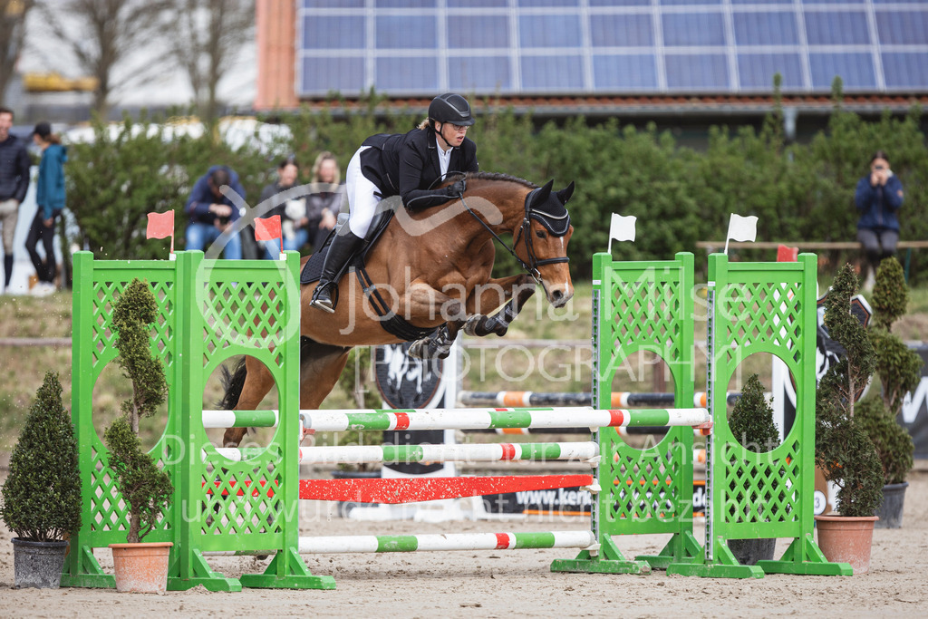 250419_Frühlingsfest_Stil-A2-1-511 | Deine schönsten Turniermomente als professionelle Fotos! Entdecke hochwertige Pferdesport-Fotografie im Online-Shop. Jetzt Fotos finden & bestellen!