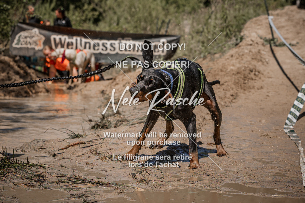 nelerasche_Hoope2026_Sa1330-1400_79 | nelerasche