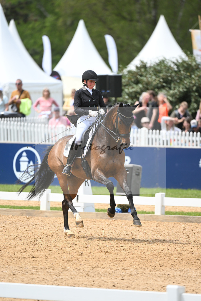 Gress_Such a Diva_11233735 | hf-fotografie - Realisiert mit Pictrs.com