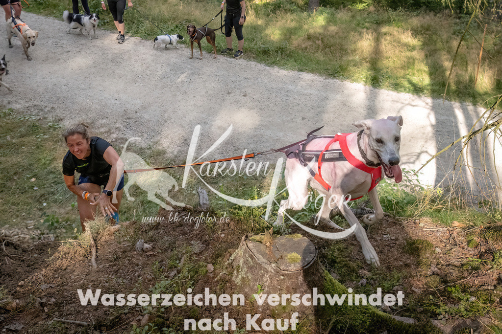 1047_ZZ92350 | kk-dogfotos