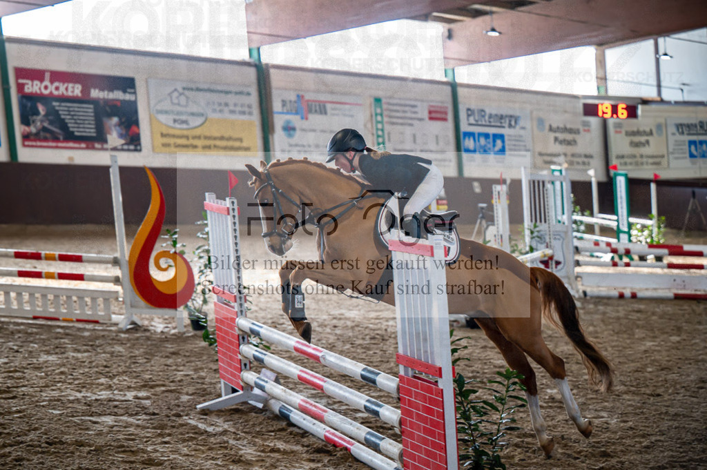 Hallenreittunier Voxtrup 2023 | Entdecke hochwertige Reitturnierfotos von Foto Oger. Professionell, emotional und authentisch – jetzt Lieblingsmomente im Shop bestellen.Deutschlandweite Turnierfotografie. - Realisiert mit Pictrs.com