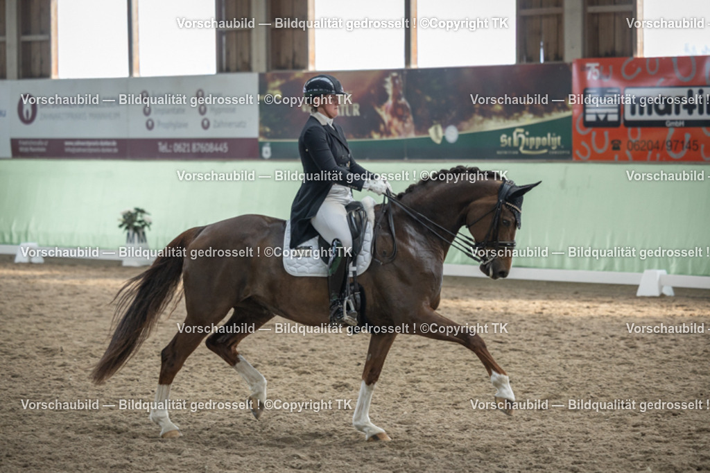 _D5A6622 | Emotionale Pferde- & People-Fotografie rund um Heidelberg, Leimen & Umgebung. Natürliche Fotos von Pferd, Mensch & Familie. Jetzt Termin sichern!