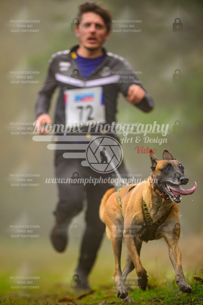 MompixPhotography_Bischwiller2025_Canicross-70 | mompixphotography