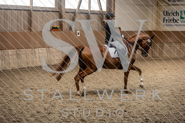 2L2A5007 | stallwerkstudio - Realisiert mit Pictrs.com