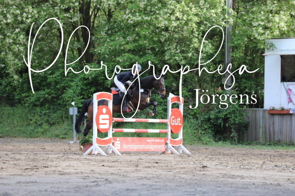 IMG_9079 | photographesa-joergens - Realisiert mit Pictrs.com