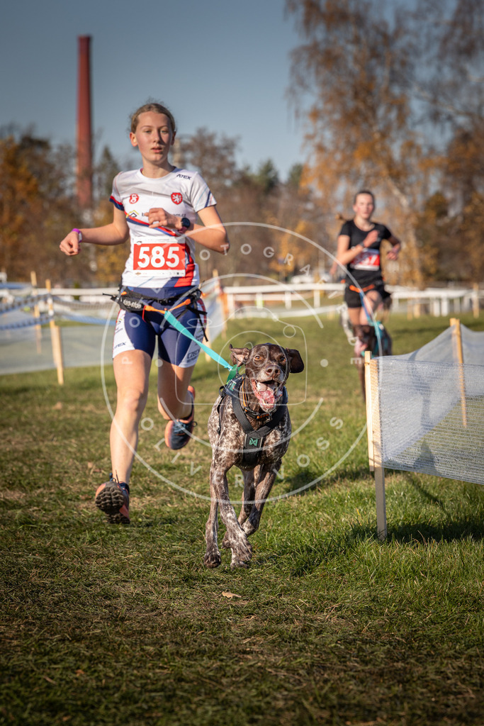 CaniXpix_0L8A8245 | Hundefotografie, Tierfotograf, Pfotenfotografie, Fotoshooting Hund, Hunde Portrait, Hundesport, Hundeportraits, Heideshooting, Hunde, Sportfotograf, Hundefotograf, Turnierhundsport, THS,  - Realisiert mit Pictrs.com