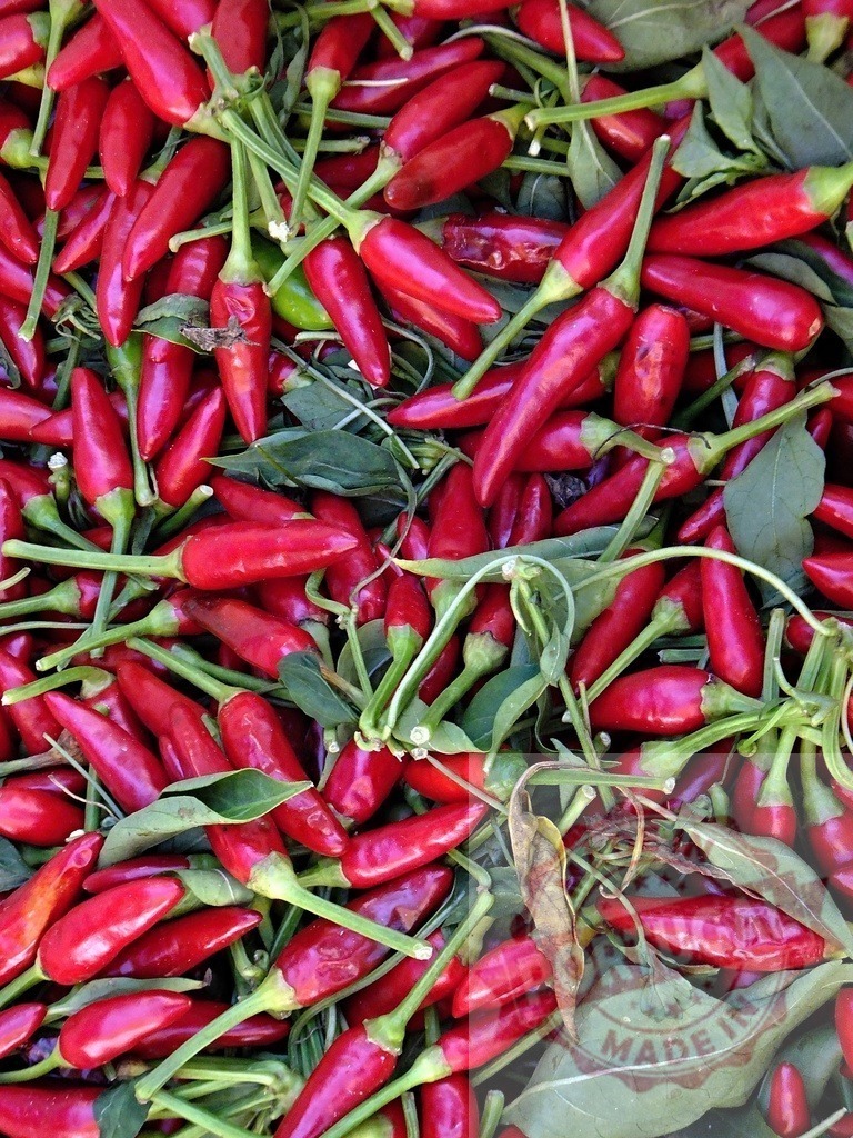 Freshly harvested red chili peppers with green stems | Red chili peppers forming a vibrant spicy food background - Realized with Pictrs.com