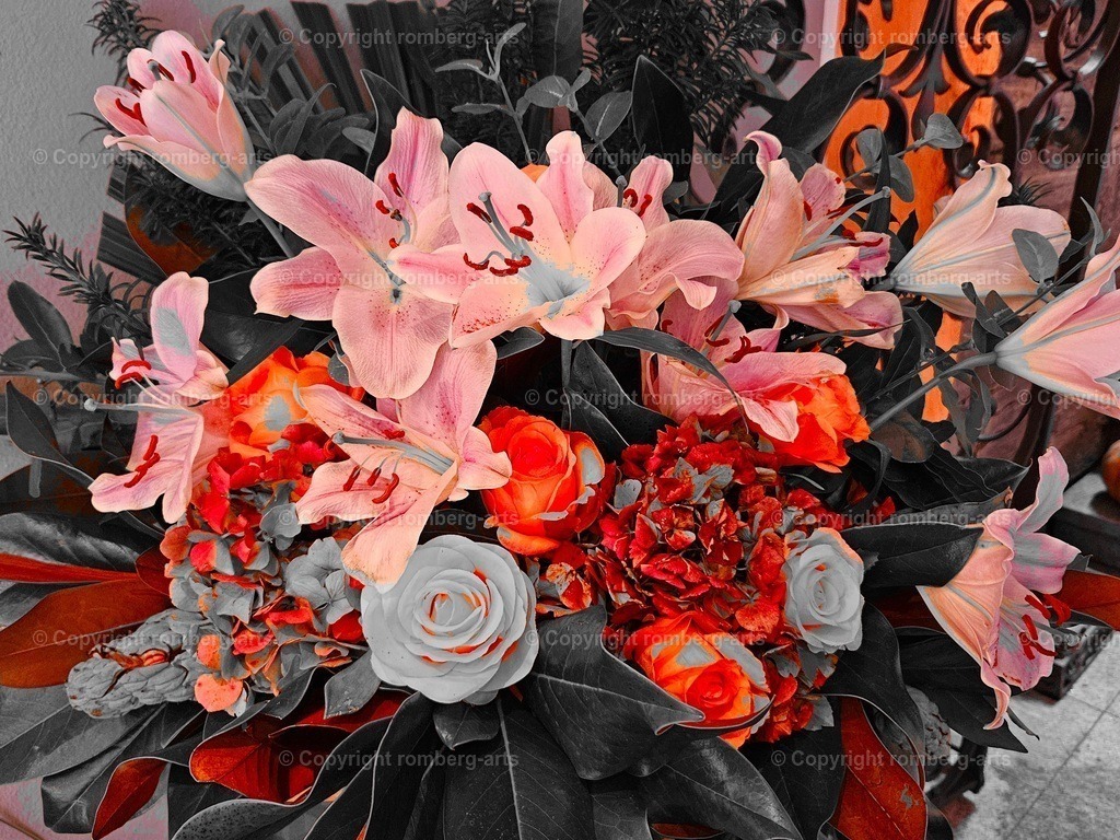20241112_132504 | romberg-arts, romberg-arts.de, www.romberg-arts.de, Foto_Online_Shop, Julia Fuhrmann, Köln, Fotos, Fotografie, Fotokunst, Kunstdrucke, Naturfotos, Aktfotos, Nacktfotos, schwarz_weiß_Fotos, Blumenfotos, Blumen, Tiere, Beton, Korrosion, Lächeln, Drucke